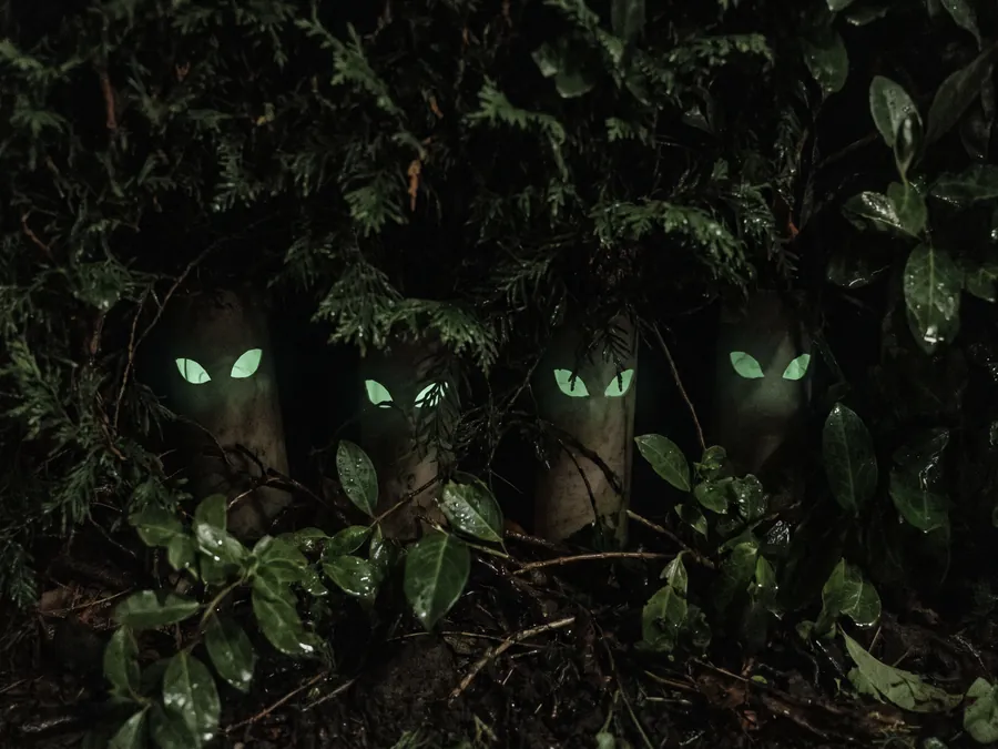 Vier Paar grün leuchtende Augen in einer dunklen Hecke, die Klopapierrollen dahinter sind nicht zu erkennen