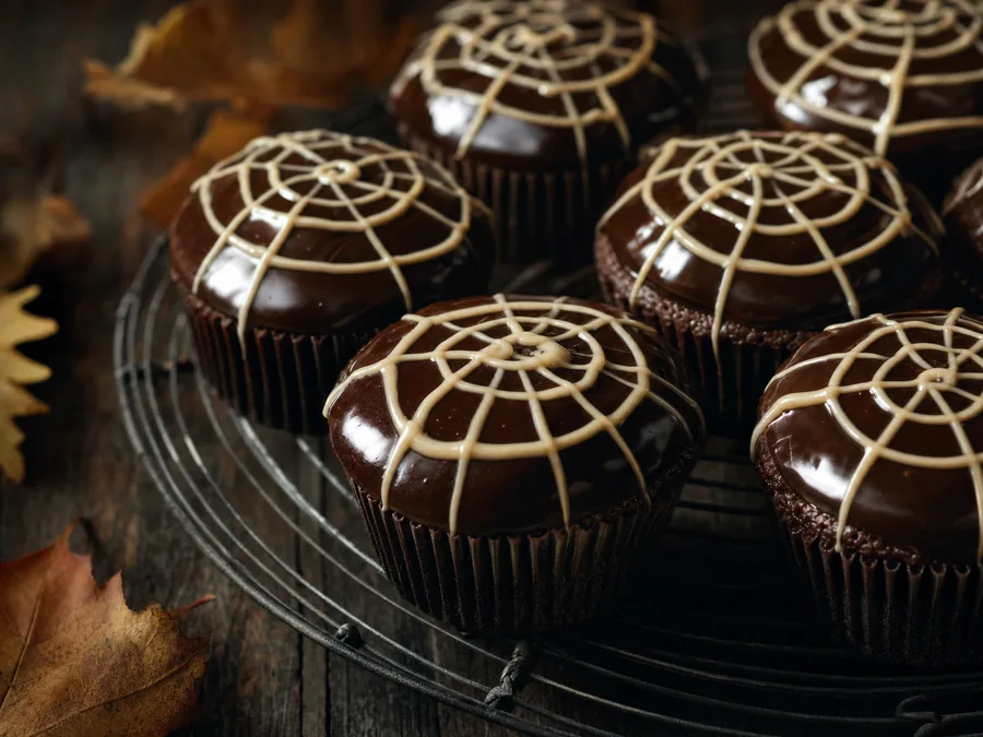 Muffins mit dunkler Kuvertüre und aufgespritztem Spinnennetz aus weißer Schokolade